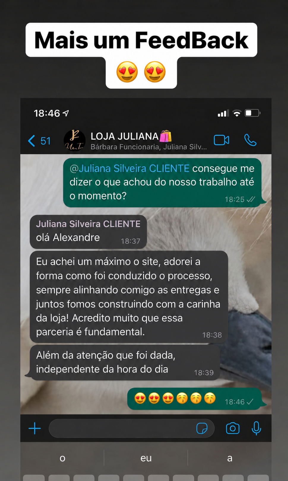Depoimento de Juliana Silveira no WhatsApp